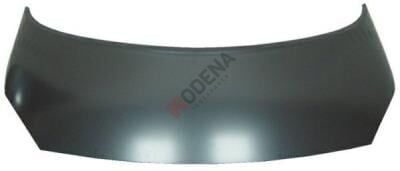 MOTOR KAPUTU SCENİC 2003-