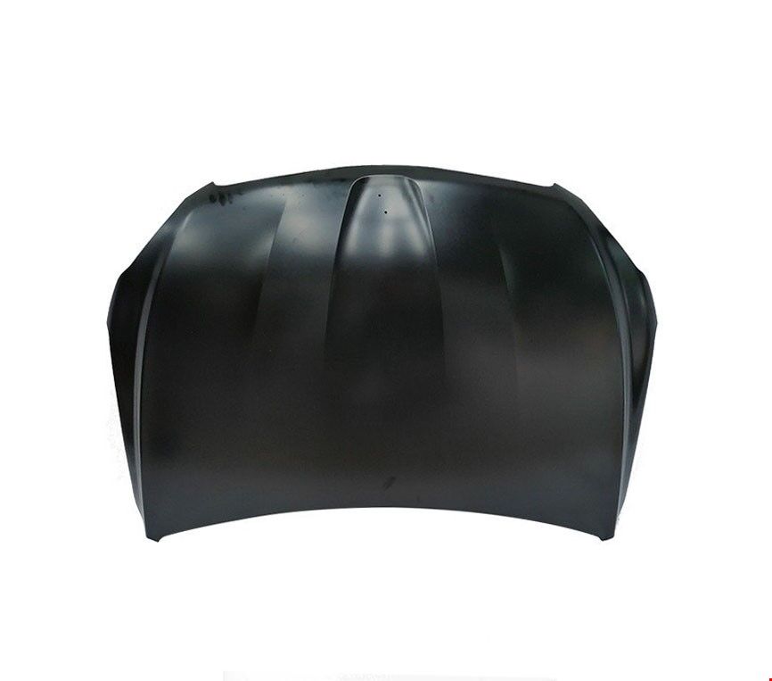 MOTOR KAPUTU (SİMYİ) PG 301 2013-